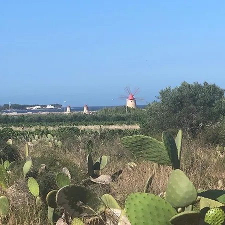 Margherita 马尔萨拉